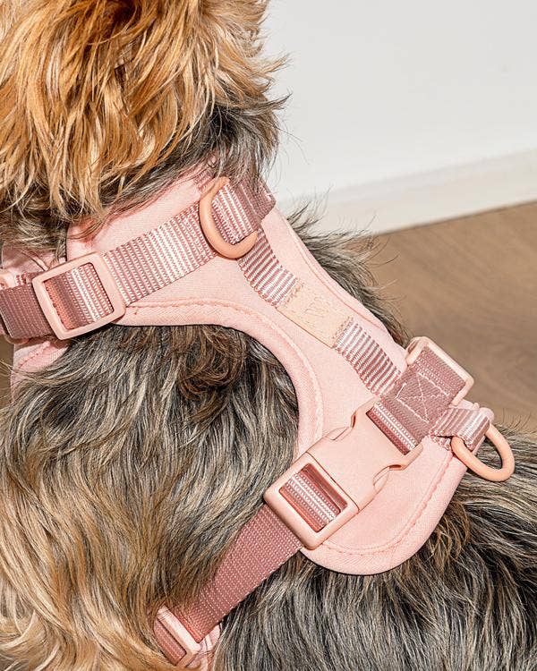 Wild One | Cushioned Dog Harness | Blush | Large, Medium | SALE