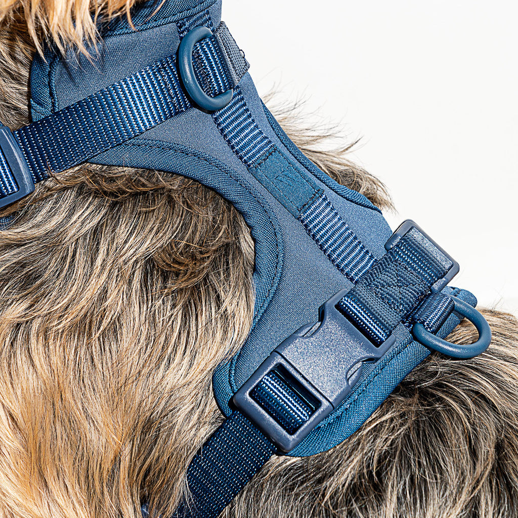 Wild One | Cushioned Dog Harness | Navy | Large, Medium SALE